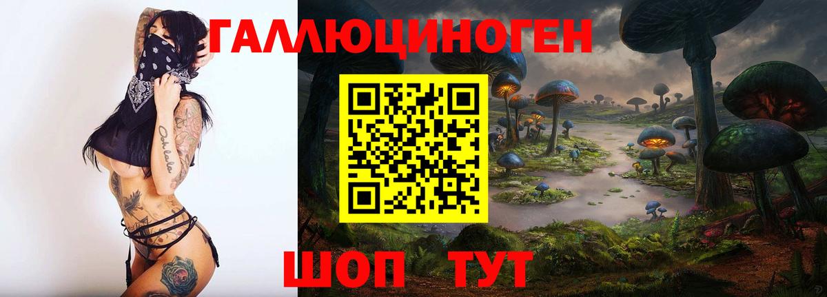 Хасавюрт  Псилоцибиновые грибы мицелий  Галлюциногенные грибы GOLDEN TEACHER  Вход с VPN 