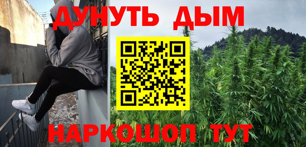 Конопля OG Kush Хасавюрт
